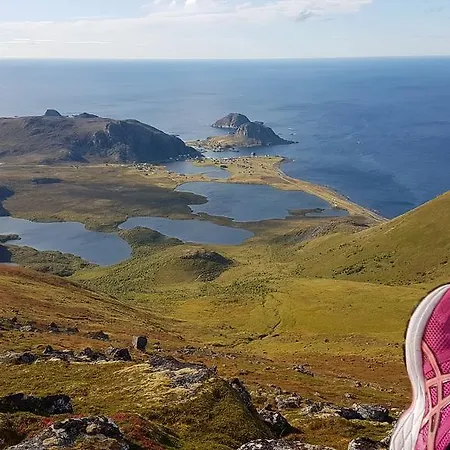 Vesteralen - Lofoten 8475 Straumsjoen アパート Hovden
